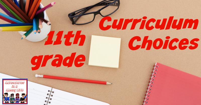 11th grade curriculum choices