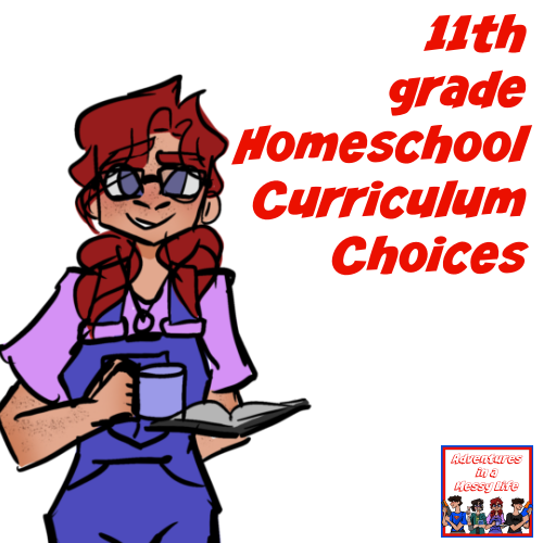 11th grade homeschool curriculum choices for the group