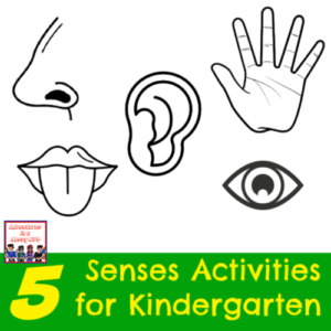 5 senses kindergarten experiment My Father's World preschool