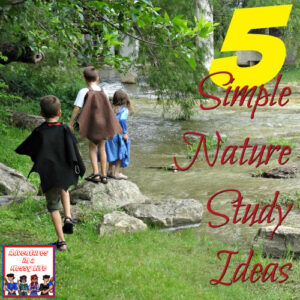 5 simple nature study ideas