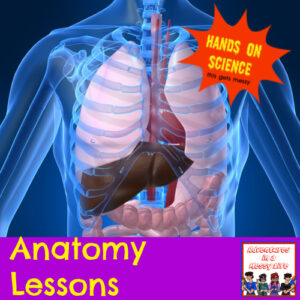 Anatomy lessons science 3rd