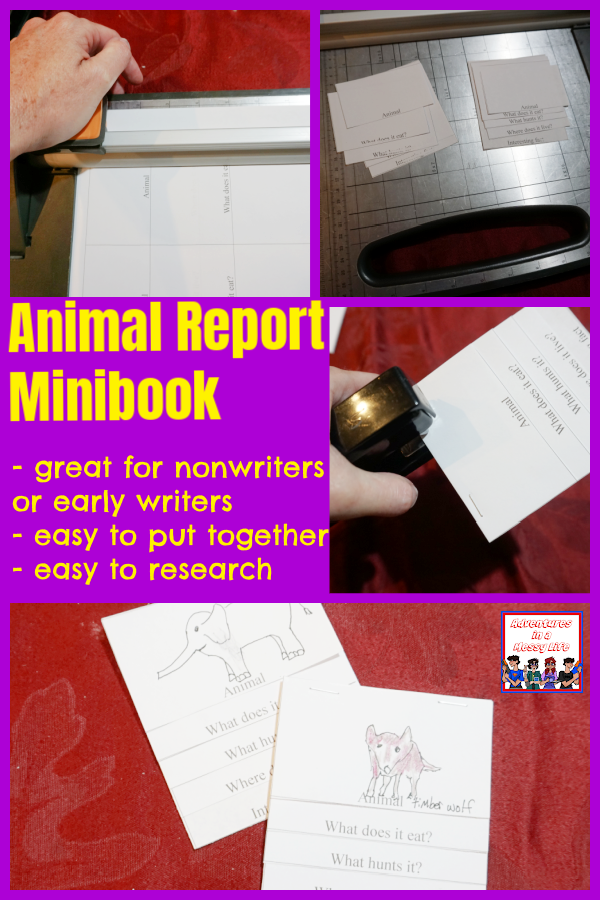 Animal report minibook for young science learners