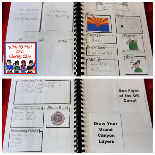 Arizona notebooking pages