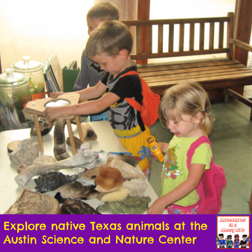 Austin Science and Nature Center Field trip for elementary and preschool