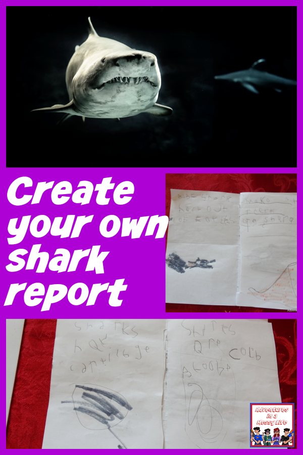 Create your own shark report