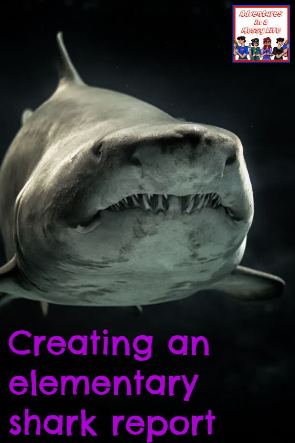 Creating an elementary shark report