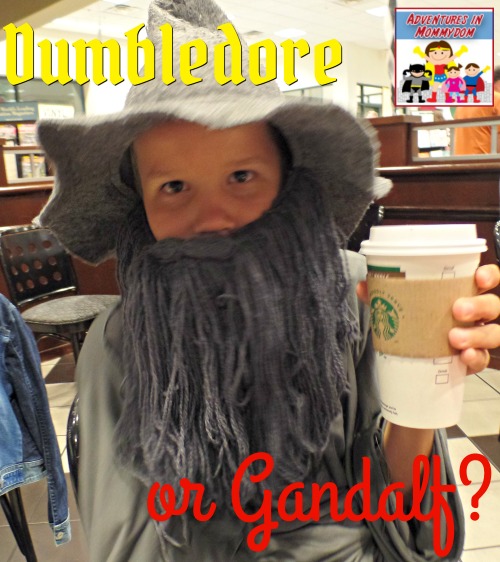 Dumbledore costume or Gandalf costume