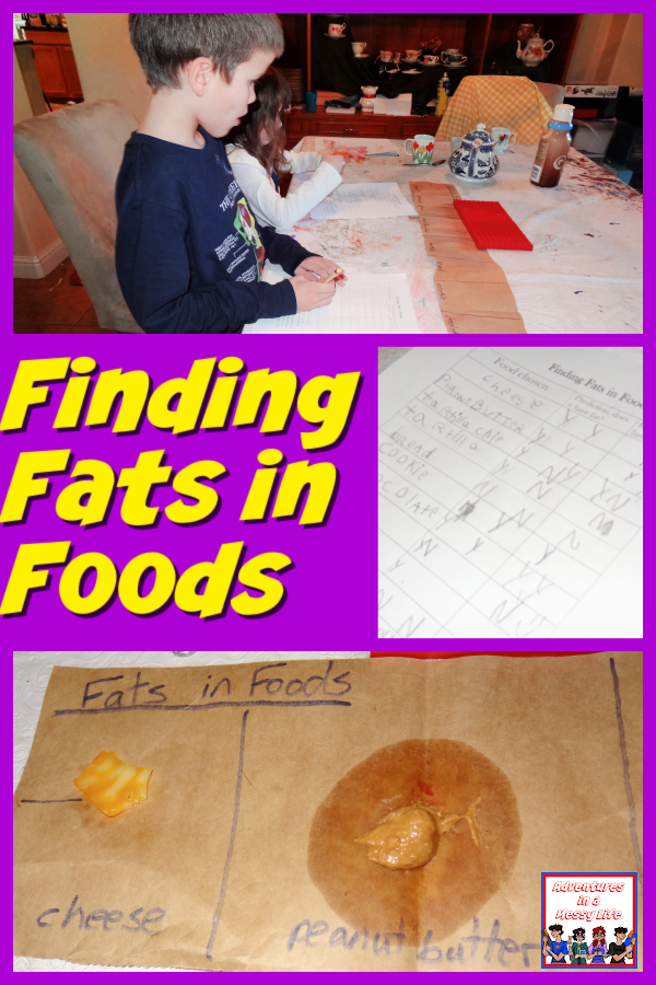 Finding fats in foods science lesson