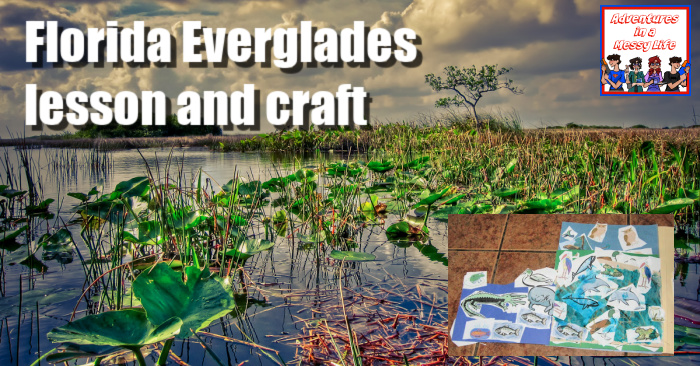 Florida Everglades lesson and craft