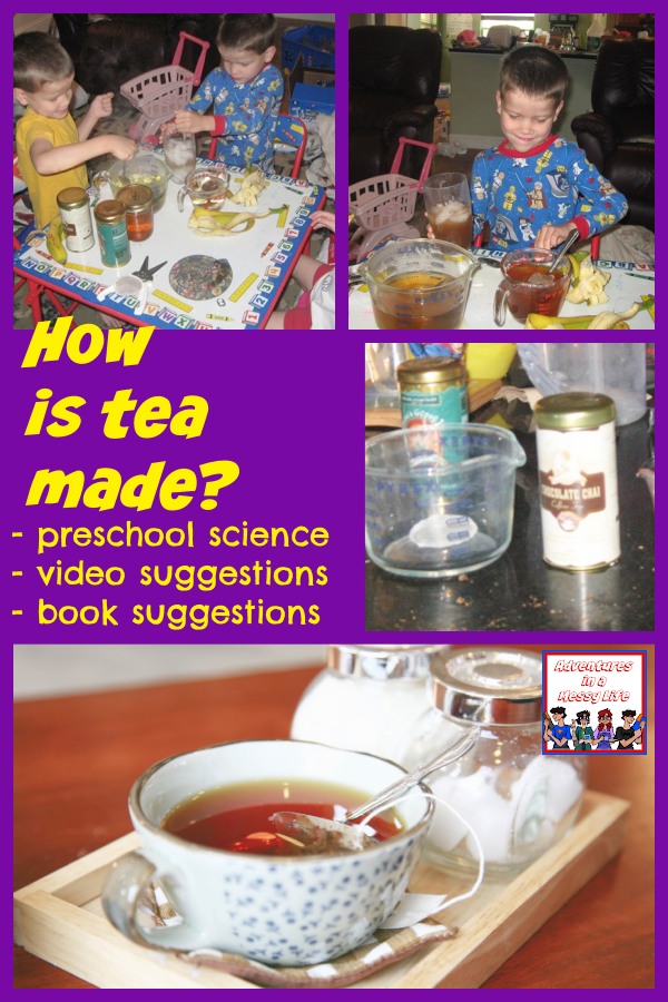 How is tea made preschool science lesson