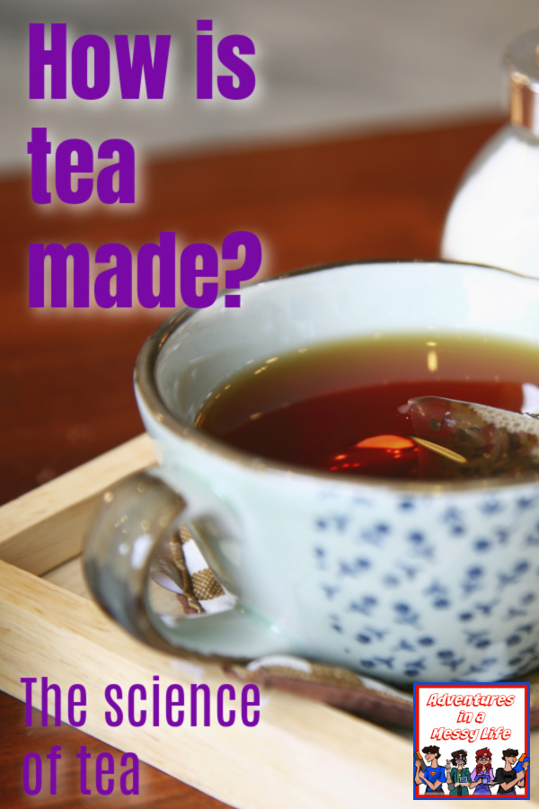 How is tea made the science of making tea