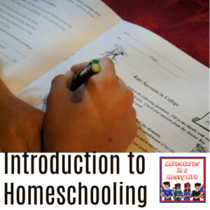 Introduction to homeschooling for those who don't want public school during quarantine