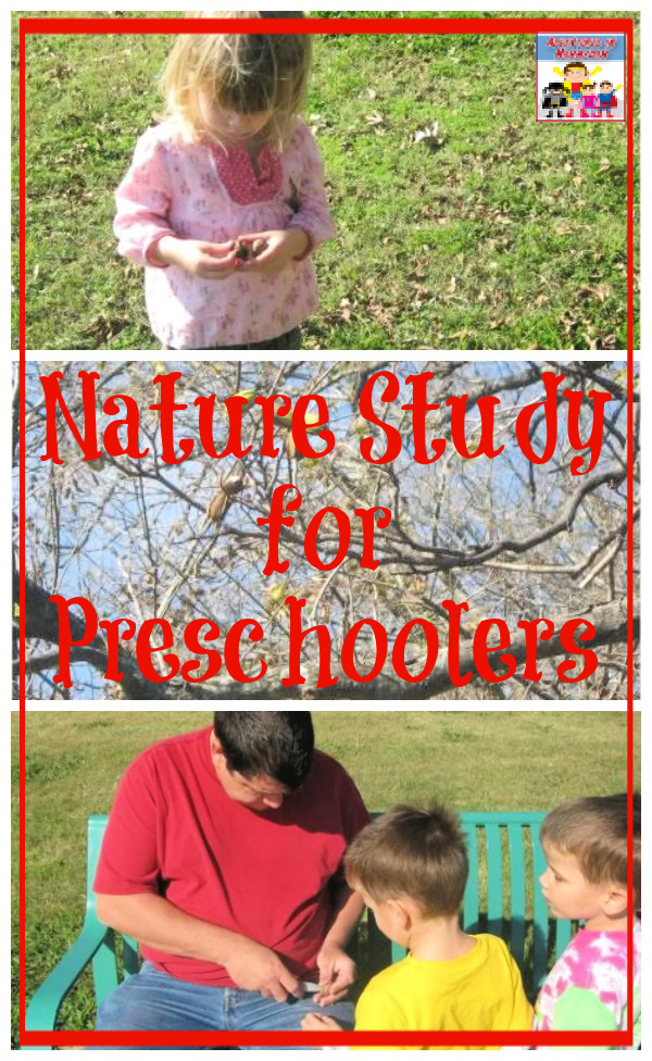 Nature Study for preschoolers #naturestudy #preschool #prek #scienceforkids