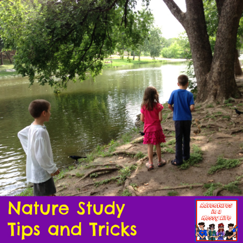 Nature Study tips and tricks to get the most out of it science elementary middle 1st 2nd