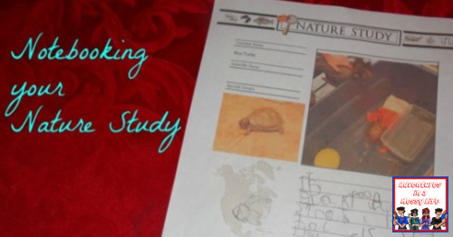notebooking your nature study