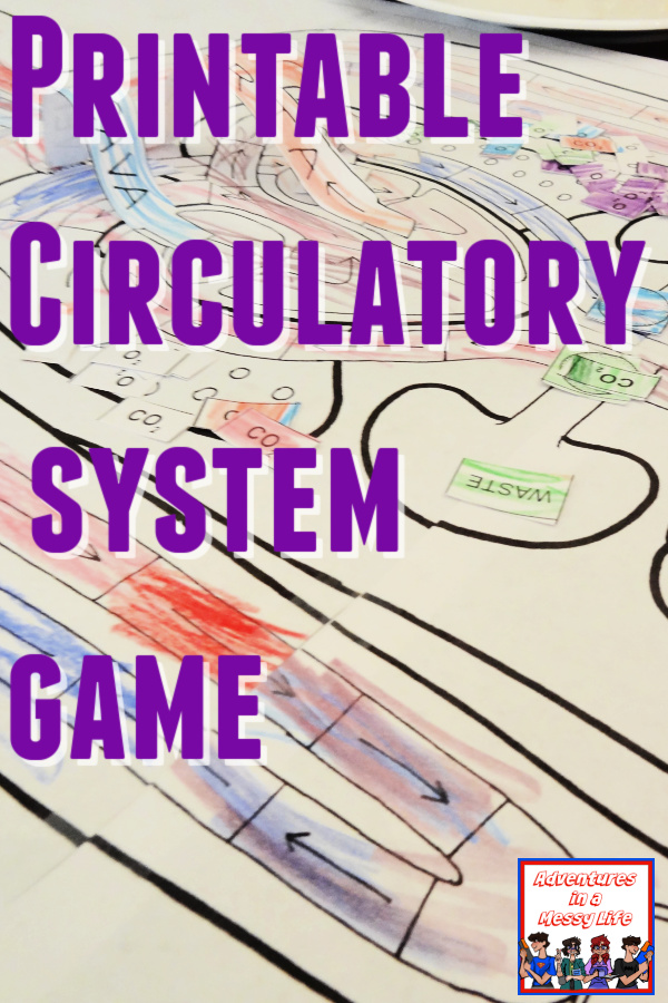Printable Circulatory System Game
