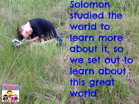 Solomon nature study