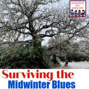 Surviving-the-midwinter-blues-homeschool-tips-winter