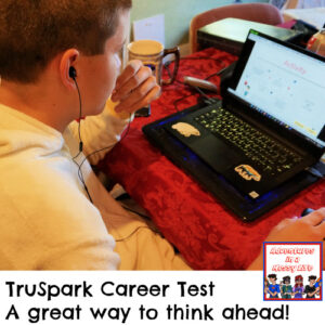 Truspark career test high review