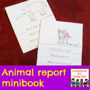 animal report minibook science biology land animals swimming creatures flying creatures preschool kinder 1st 2nd 3rd