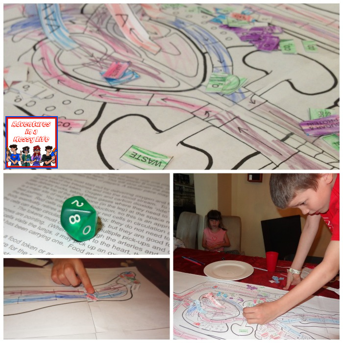 circulatory system game modifications