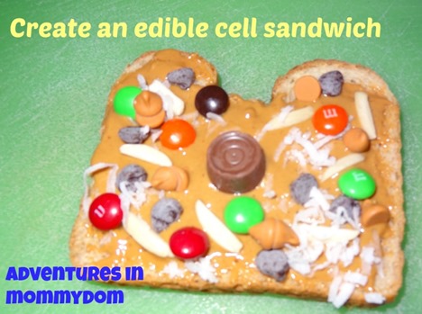create an edible cell sandwich