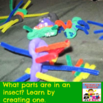 create an insect kindergarten flying creatures science