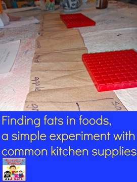 finding fats in foods