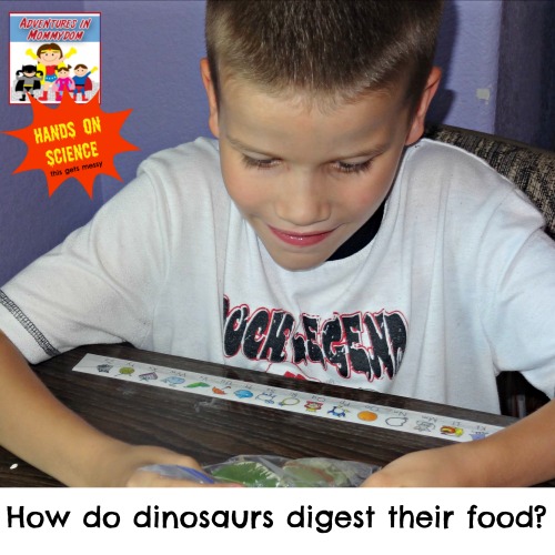 how do dinosaurs digest their food question