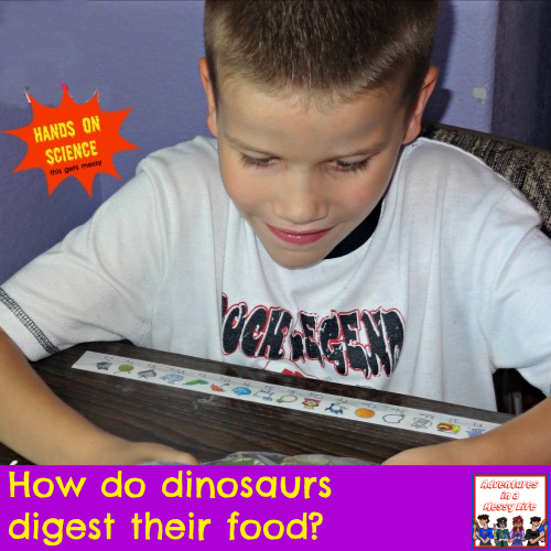 how do dinosaurs digest their food zoology land animals science 1st