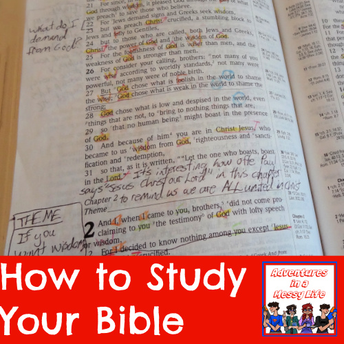 how to study your BIble Bible study