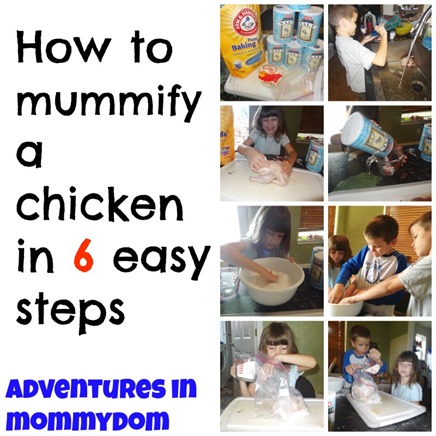 how to mummify a chicken