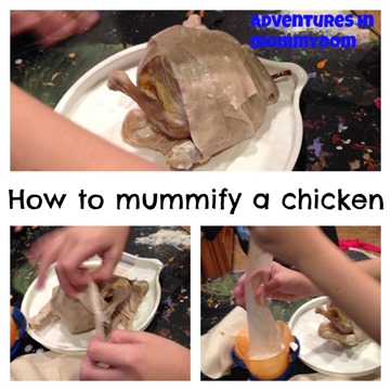 how to mummify a chicken