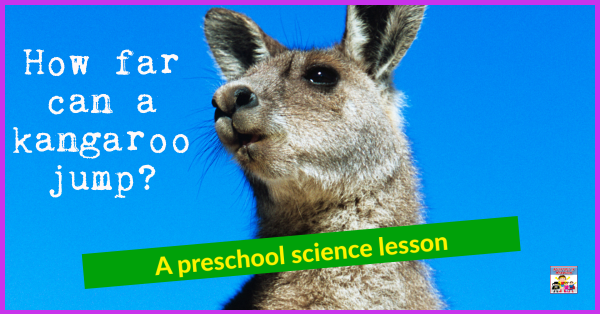 kangaroo science lesson