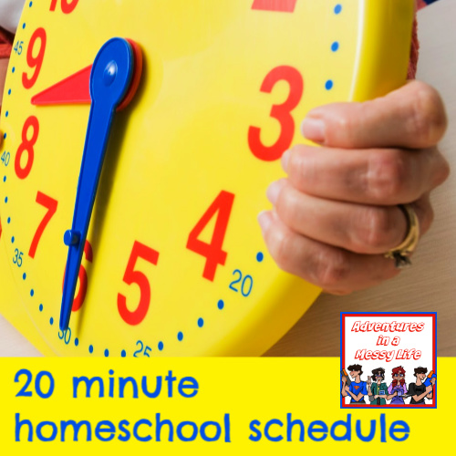 keep your life sane with this 20 minute homeschool schedule