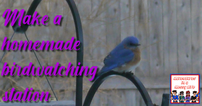 make a homemade birdwatching station