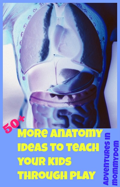 more anatomy ides to teach your kids about the body