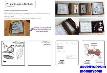 nature study printables