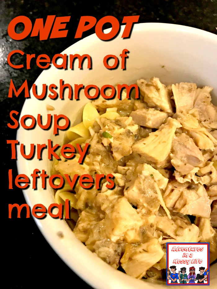 one-pot-cream-of-mushroom-soup-turkey-leftovers-meal