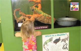 reptiles at Kansas City Union Station