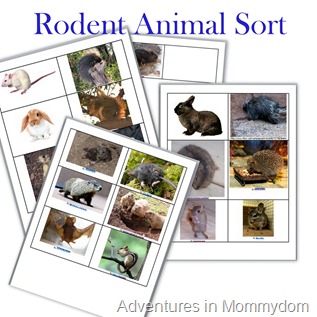 Rodent animal sort