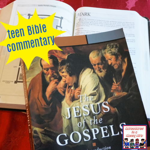 teen-Bible-commentary-Jesus-of-the-gospels