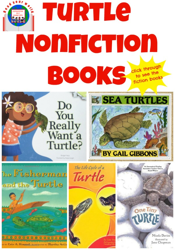 turtle books for young kids