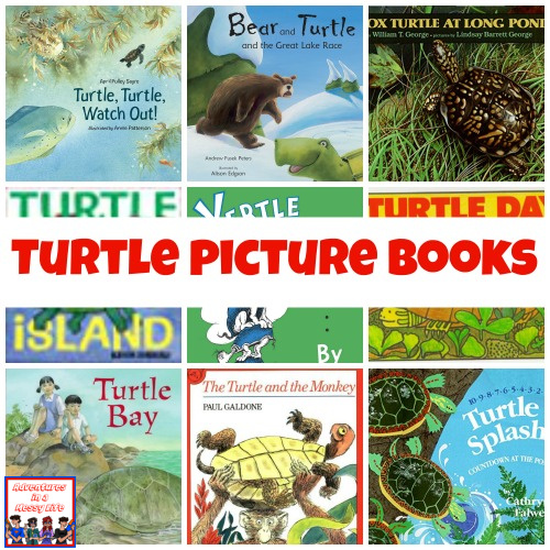 turtle picture books