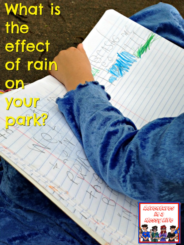 what is the effect of rain on your park nature study