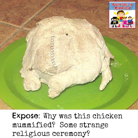 why was this chicken mummified