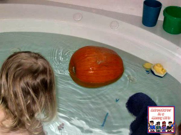 yes a pumpkin floats